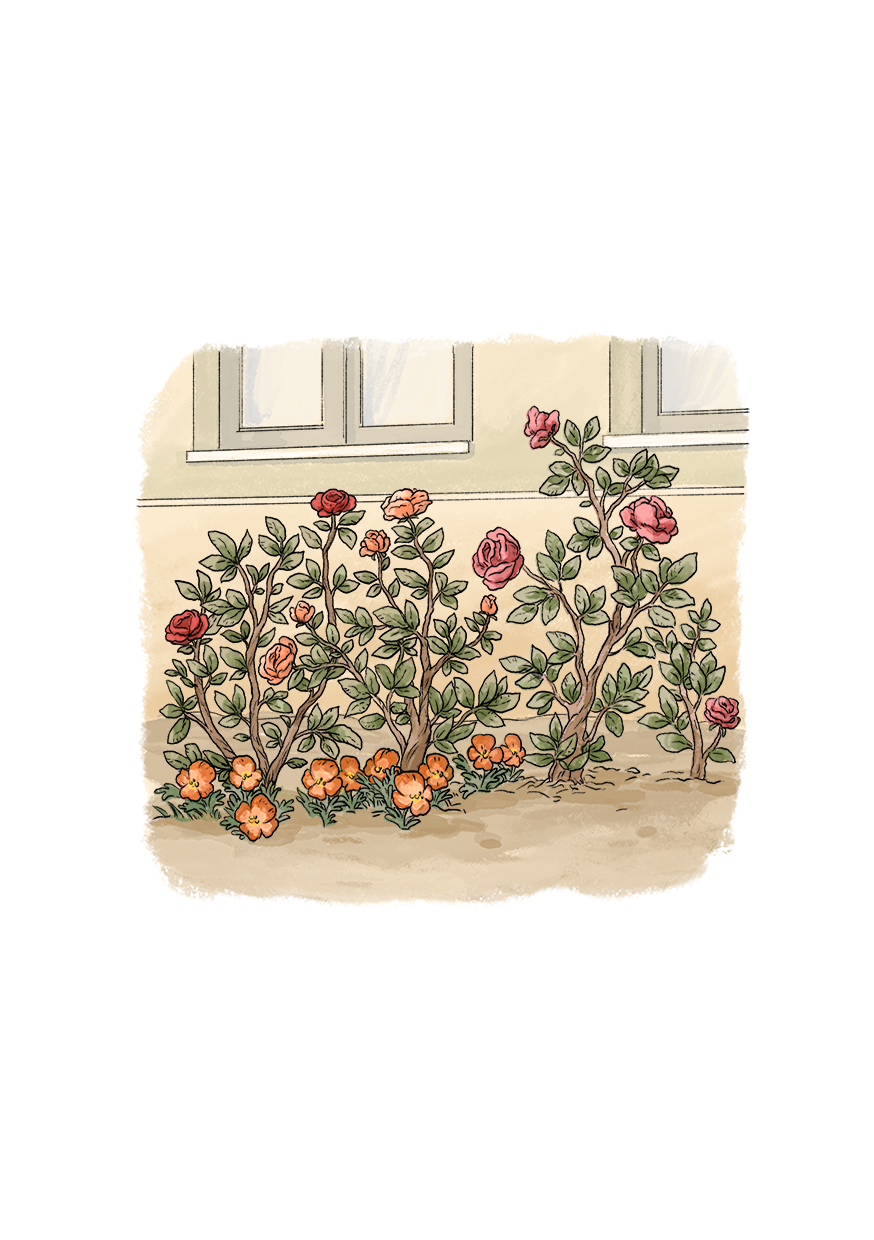 Grădina speranţei: întoarcerea la echilibru